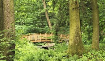 Pronájem bytu 2+1 v Orlové - Lutyni, bez realitky - 11