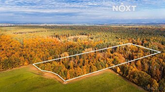 Prodej pozemek Lesy, 13718㎡ - 11