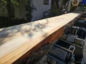 Prodám Mobilní pásovou pilu TP-600 , stav  pily jak Nové - 11