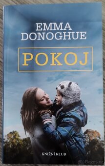 Knihy - česká a světová beletrie - 11