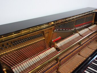 Steinway and Sons najvyššía prémiová kvalita - 11