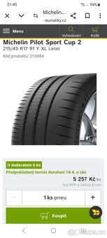 Michelin Pilot Sport Cup 2 - 11