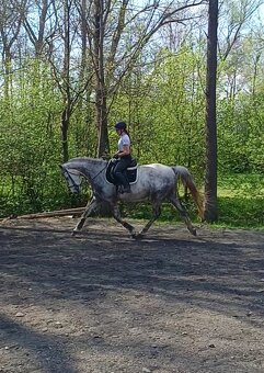 Valach do sportu nebo rekreaci - 11