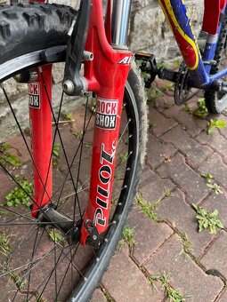 Kolo Gary Fisher - 11