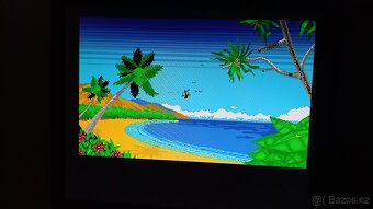 Ishar, Midwinter II (Amiga) hra - 11