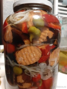 prodej pstruhů - 11