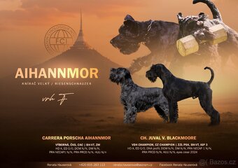 Knírač velký černý s PP - 11