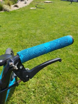 BMX kolo Gusta 18' - 11
