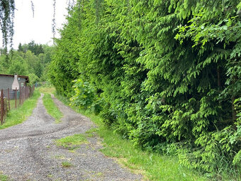 Šumava - Sušice pro výstavbu 2 chat pozemek na prodej - 11
