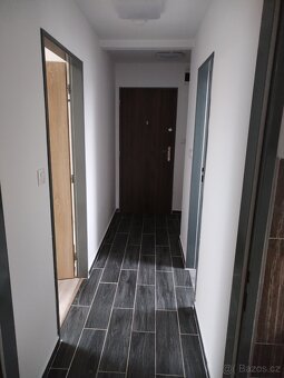 Pronájem bytu - 11