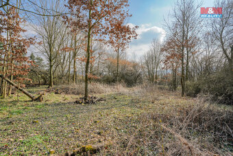Prodej pozemku k bydlení, 1941 m², Ždírec - 11