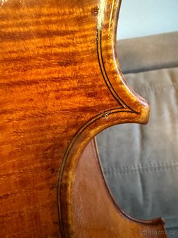 Krásné violončelo - 11