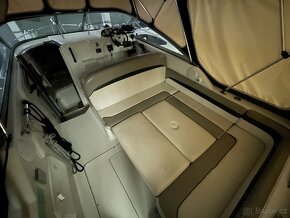 SUNBIRD 250 VOLVO PENTA 5.0 + VLEK 3500 KG - 11