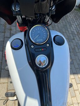 Harley-Davidson FXDB 2014 – Club Style, motor 103 - 11