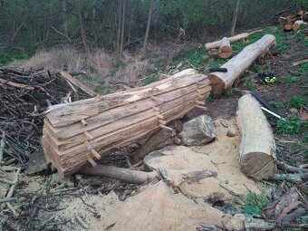 Pořez kulatiny přenosným katrem v místě kácení - 11