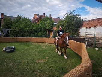 Chladnokrevný kůň - 11