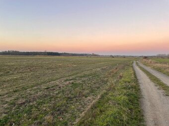 Veľký Pozemok 45 172 m² pri Malých Levároch - 11