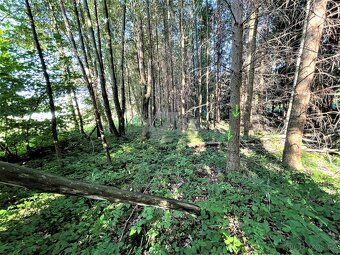 Prodej, stavební pozemek, 2726 m2, Košařiska - 11