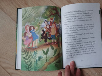 Kocour v botách,Víly nevíly,Já nejsem trapnej,Kouz.světýlka - 11