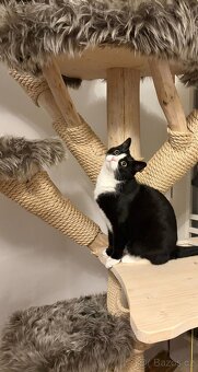 Výroba kočičích stromů - 11