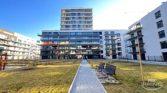 Pronájem bytu 1+kk 37 m² Šrámkové, Praha - Žižkov - 11