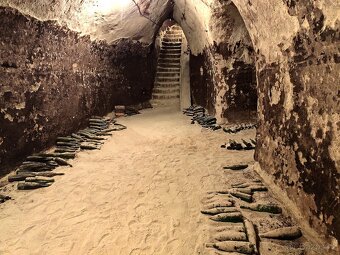 Pronájem, vinný sklep s lisovnou, Nový Šaldorf - 11