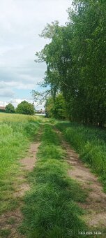 Pronájem zahrady 400 m2 - 11