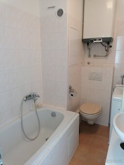 Pronájem bytu 3+1 - 11