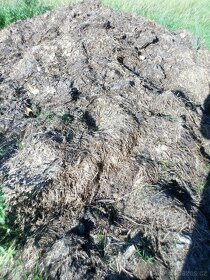 Prodám hnůj - 11