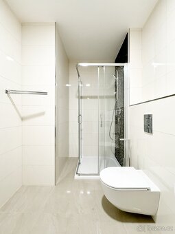 Prodej bytu 2+kk, 55 m2, Praha - Vinohrady, ev.č. LS116 - 11