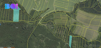 Souhrn lesních pozemků Pěčíkov u Městečka Trnávky - 11