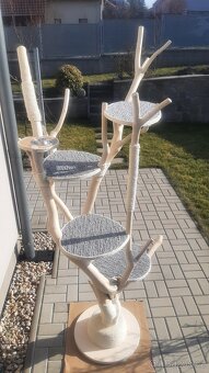 Kocici strom - škrabadlo pro kocky - 11
