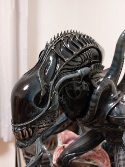 Alien Warrior Prime 1 Studio - 11