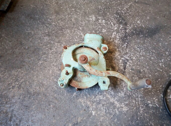 drhlík na kukuřici - 11