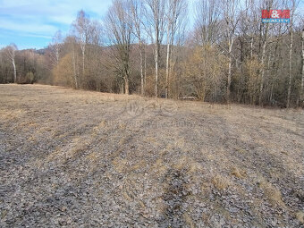 Prodej pozemku k bydlení, 1920 m², Dolní Moravice - 11