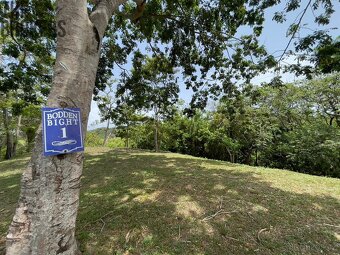 Lot 1 Bodden Bight Estate, Roatan - 11