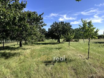 Prodej pozemku pro bydlení, 3 491 m2 - Šakvice - 11