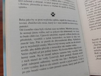 Kniha V ZAJETÍ POLÁRNÍ ZIMY Leoš Šimánek - 11