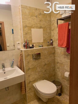 Prodej bytu 2+ KK, 46m2,  Všemina - 11