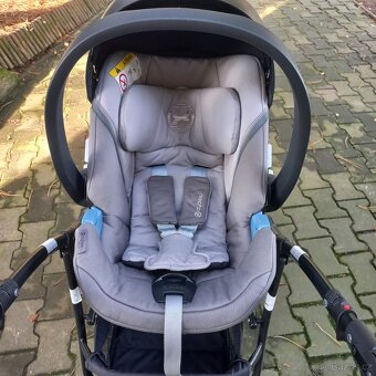 Kocarek Rico basic - 11