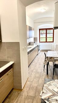 Ubytovací zařízení - pronájem - Zámecká ulice , Třemošnice - 11