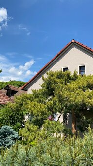 Hradec Králové – Pouchov - Prodej rodinného domu 4+kk se zah - 11