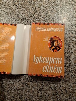 Virginia Cleo Andrews - série Květy z půdy - 11