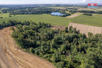 Prodej lesa, 2252 m², Horka nad Moravou - 11