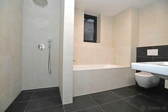 Pronájem rodinného domu 190 m², pozemek 285 m² Hillebrantova - 11
