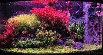 Prodám komplet Juwel Vision 180l. - 11