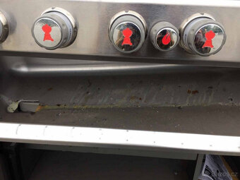 WEBER SUMMIT S 670 GBS - 11