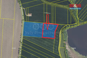 Prodej ovocného sadu, 9979 m², Nové Dvory - 11
