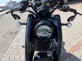 Benda Napoleonbob 500 - 11
