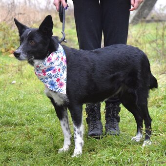 Naja hledá domov - 11